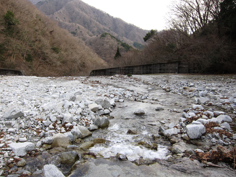 20200110hike (446)